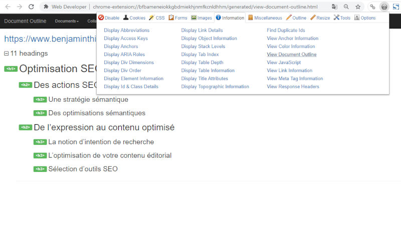 Extension webdeveloper