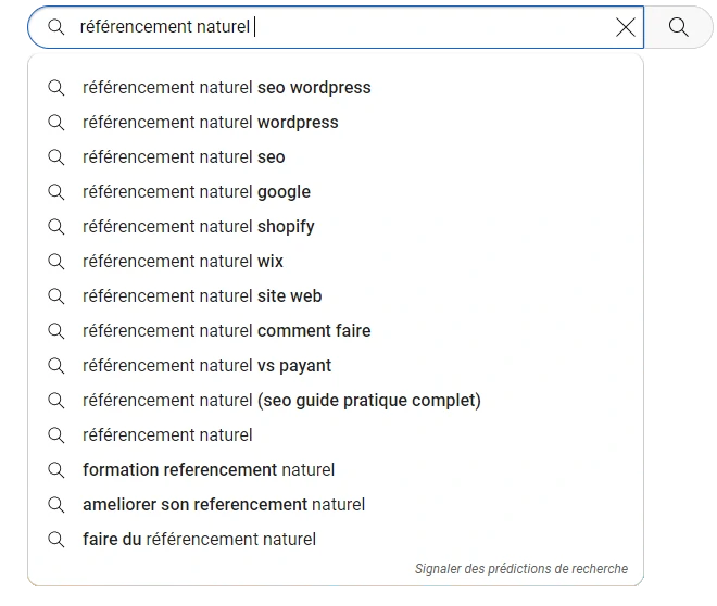 Suggestions de recherche YouTube