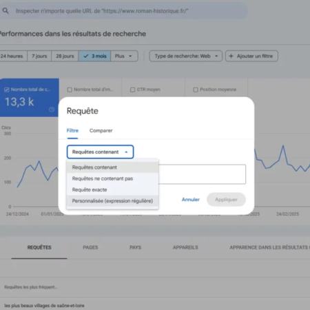 Regex sur Google Search Console : Choisir Personnalisée (expression régulière)