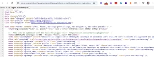 Code Source : balise canonical